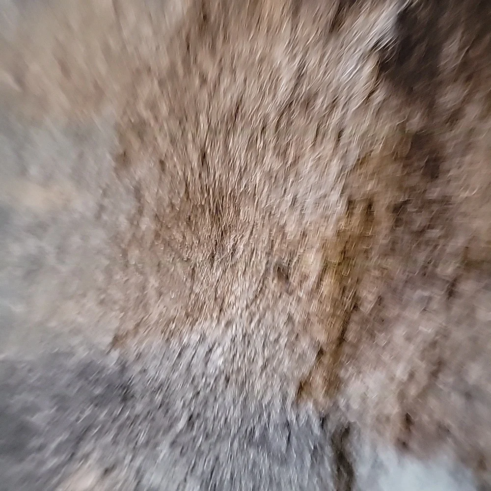 Tahari-Navy faux fur vest, collared Size Large  NWT. - Picture 5 of 9